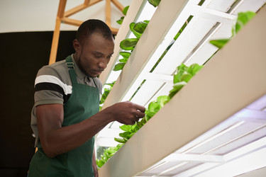 Similar image 21568860