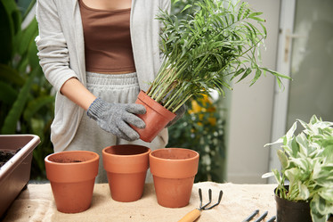 Similar image 21601569