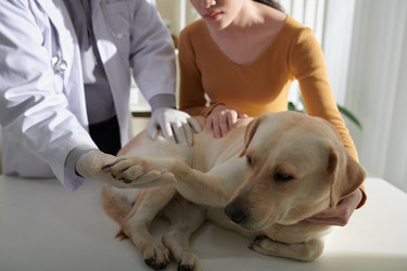 Similar image 21579672