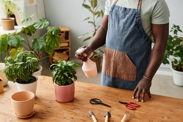 Similar image 21593043