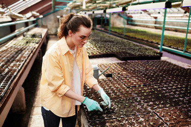 Similar image 21585181