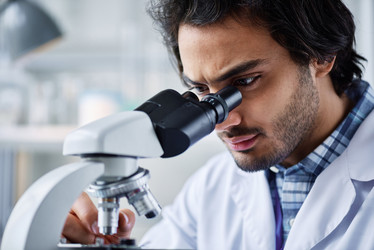 Similar image 21600240