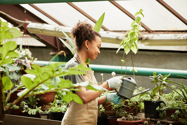 Similar image 21596405