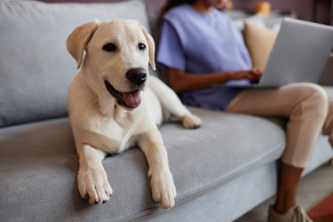 Similar image 21600223