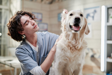 Similar image 21583089