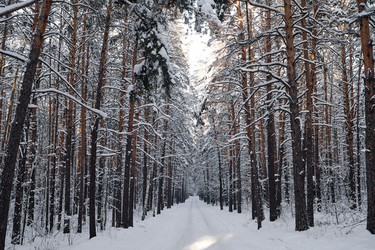 Similar image 21587352