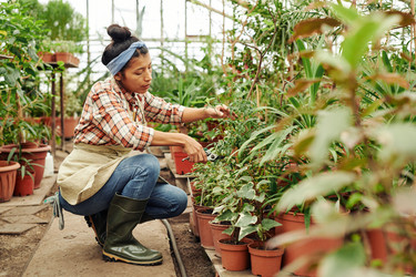 Similar image 21582765