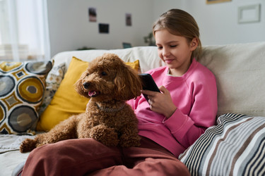 Similar image 21574721