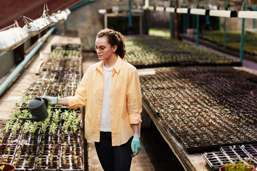 Similar image 21600036