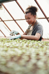 Similar image 21566782