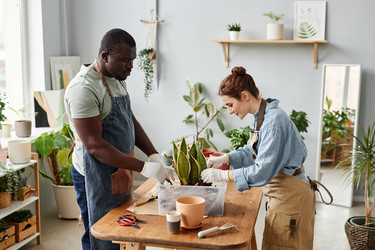 Similar image 21585095