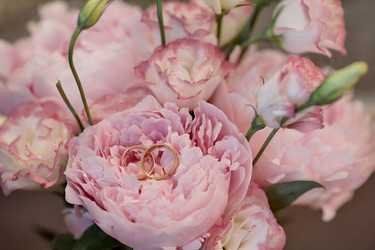 Similar image 21593644