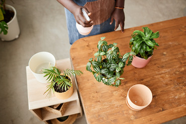 Similar image 21600052