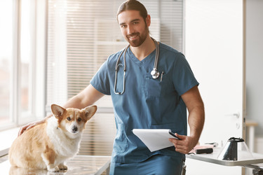 Similar image 21583543