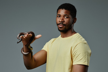 Similar image 21566667