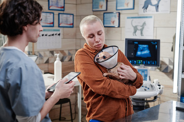 Similar image 21570030