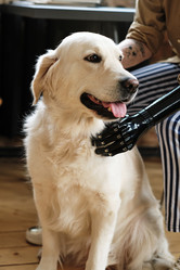 Similar image 21606795