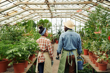 Similar image 21578096