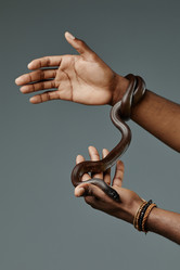 Similar image 21564750