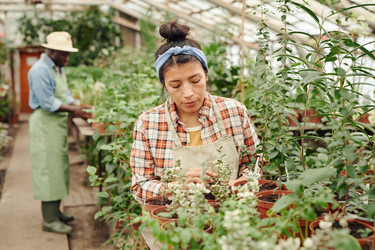 Similar image 21565675