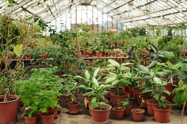 Similar image 21578953