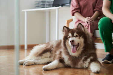 Similar image 21599130