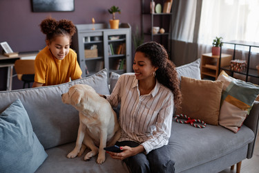 Similar image 21584660