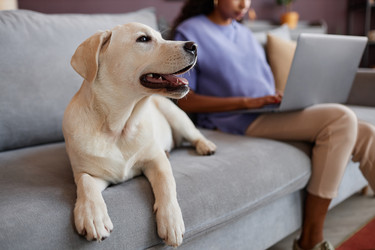 Similar image 21574968