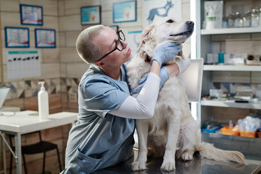 Similar image 21591051