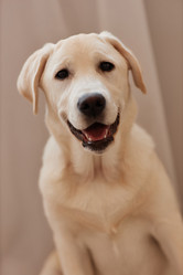 Similar image 21602575