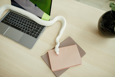 Similar image 21596646