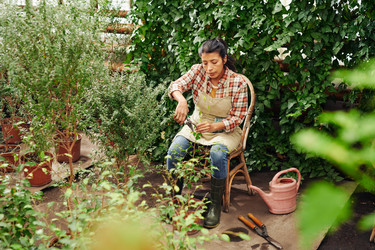 Similar image 21579028