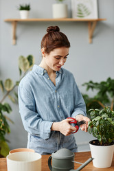 Similar image 21589589