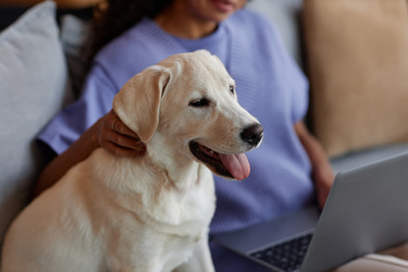 Similar image 21580700