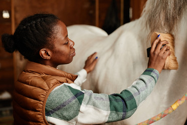 Similar image 21590358