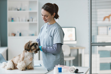 Similar image 21566858