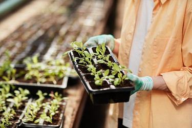 Similar image 21588248