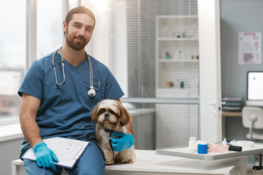 Similar image 21600839