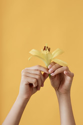 Similar image 21596650