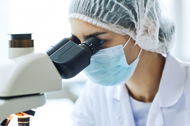 Similar image 21589006