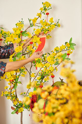 Similar image 21581437