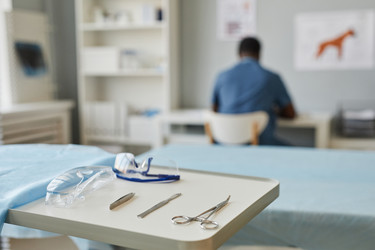 Similar image 21606858