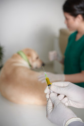 Similar image 21570643