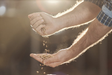 Similar image 21599040