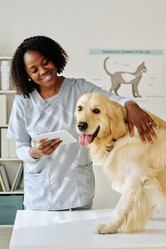 Similar image 21565464