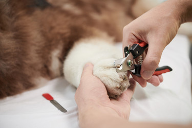 Similar image 21603971