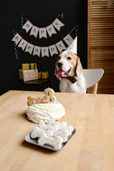 Similar image 21572509