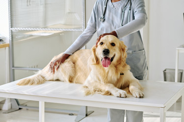 Similar image 21566451