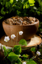 Similar image 21640222