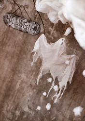 Similar image 21635431